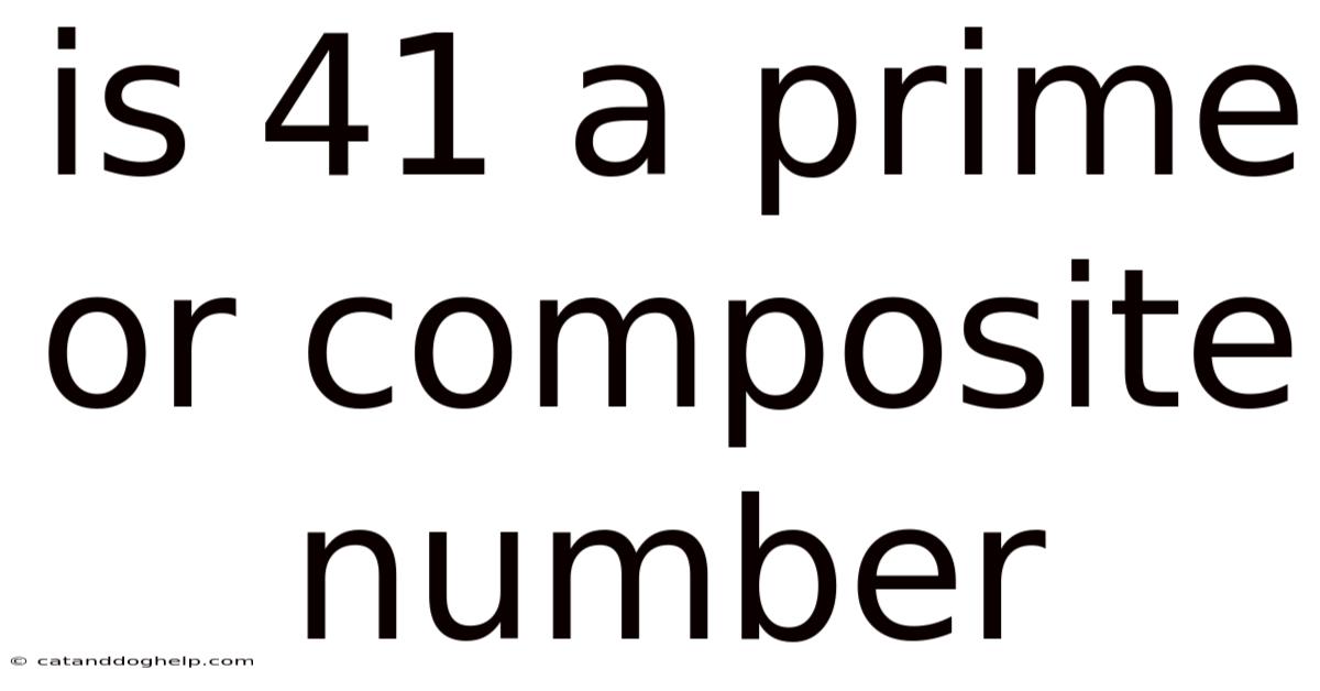 Is 41 A Prime Or Composite Number