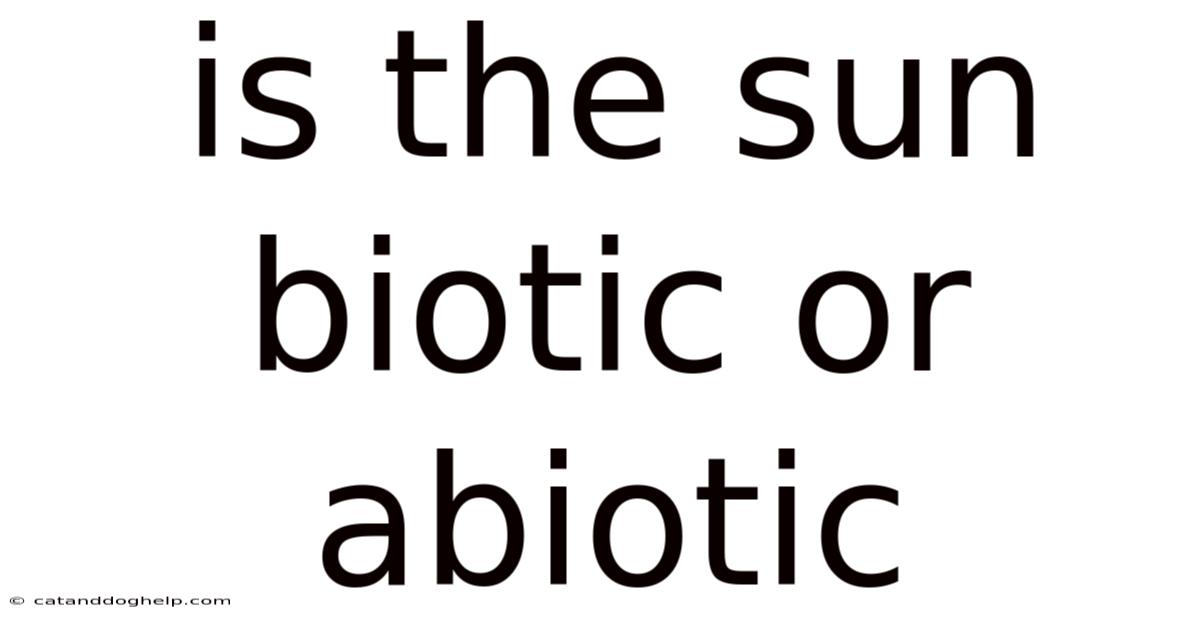 Is The Sun Biotic Or Abiotic