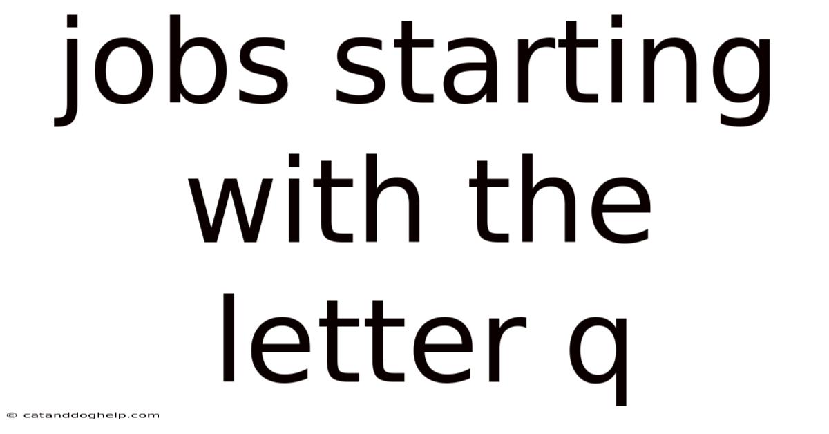 Jobs Starting With The Letter Q
