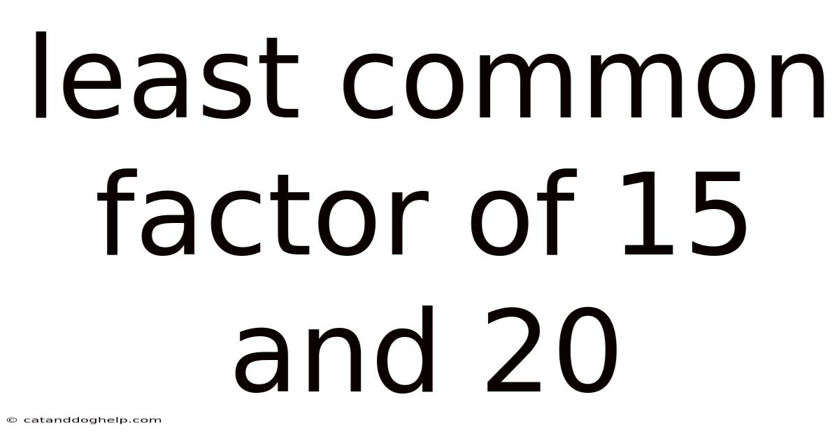 Least Common Factor Of 15 And 20