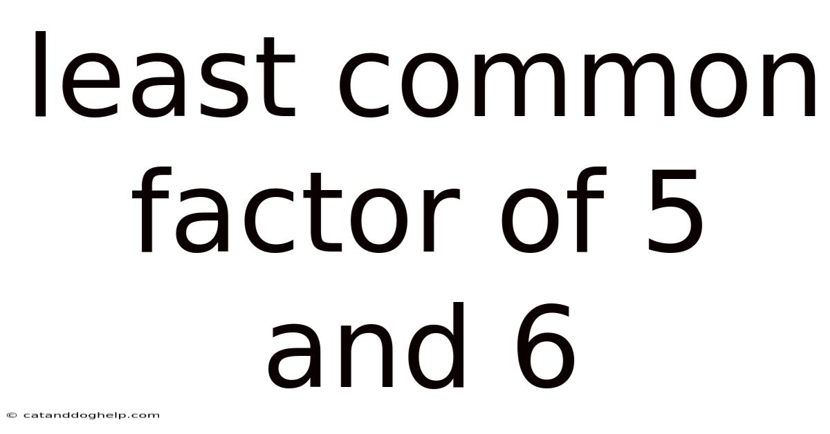 Least Common Factor Of 5 And 6