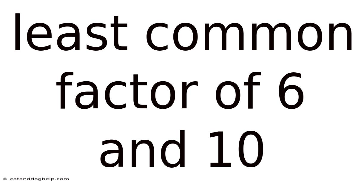 Least Common Factor Of 6 And 10