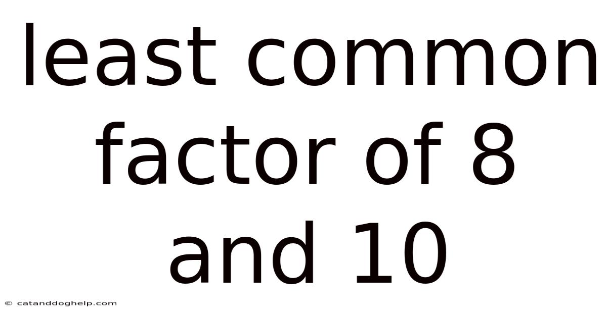 Least Common Factor Of 8 And 10