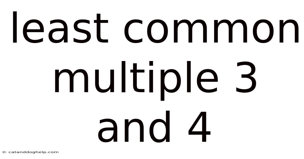 Least Common Multiple 3 And 4
