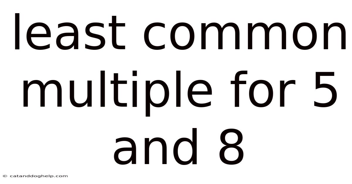 Least Common Multiple For 5 And 8