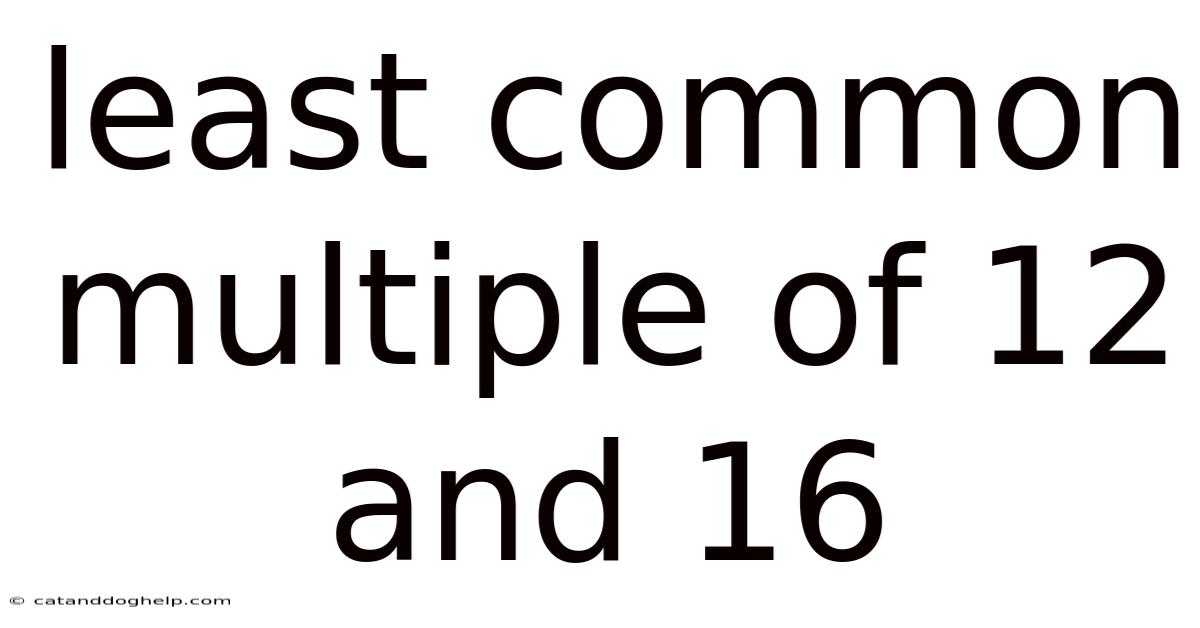 Least Common Multiple Of 12 And 16