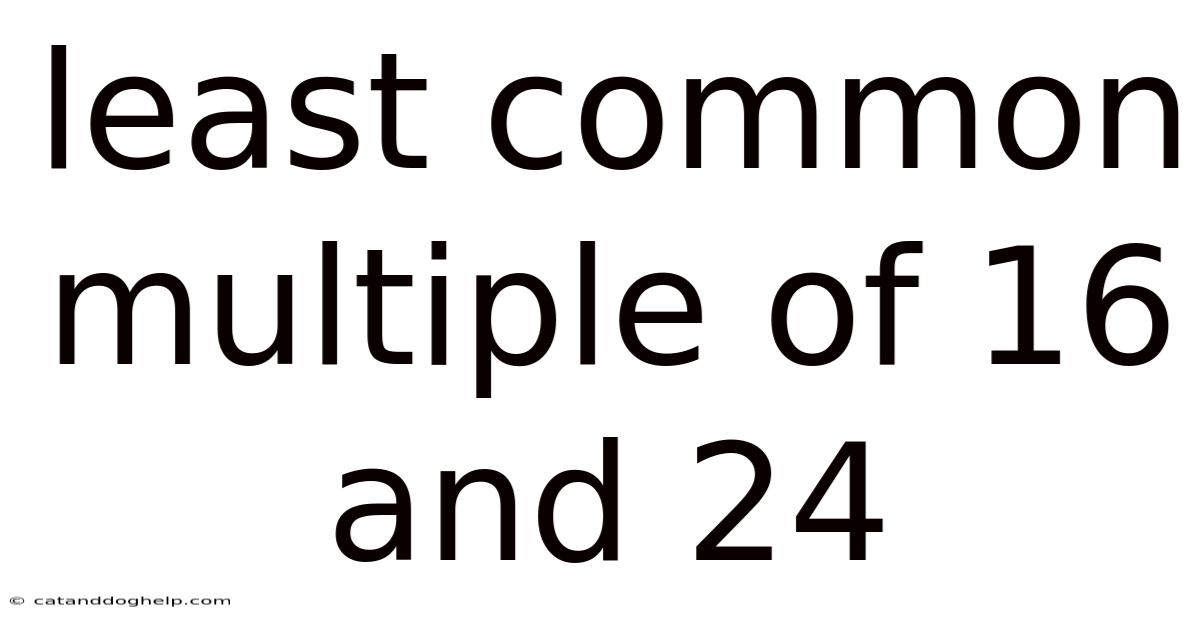 Least Common Multiple Of 16 And 24