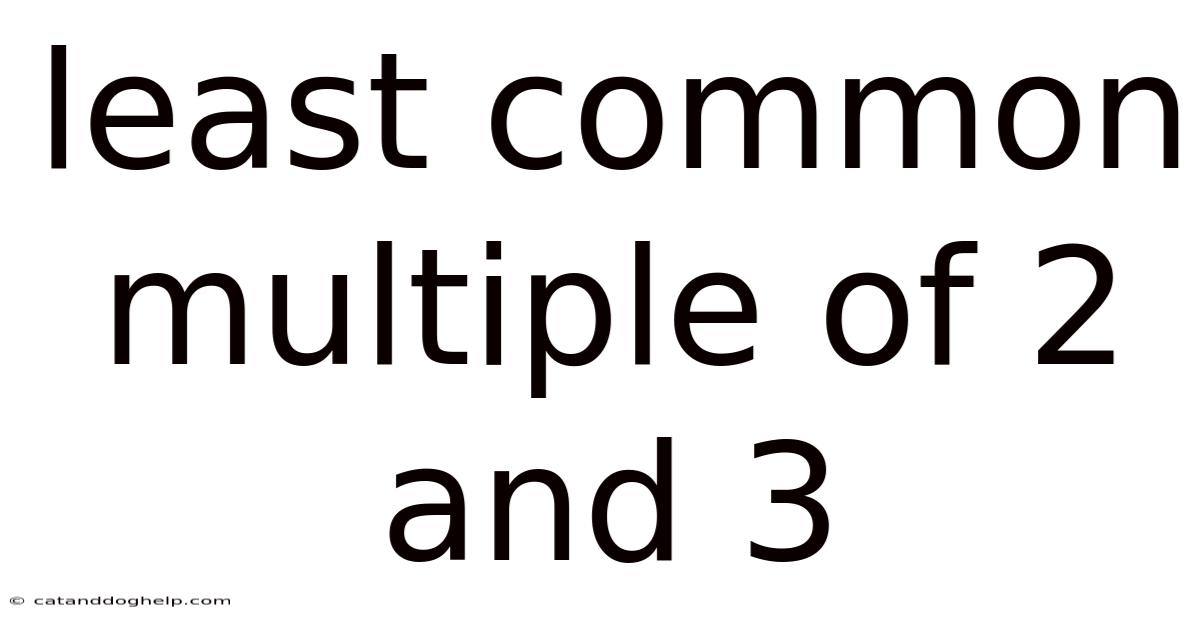 Least Common Multiple Of 2 And 3