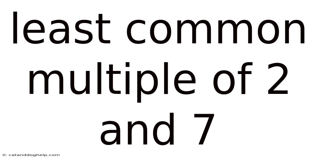Least Common Multiple Of 2 And 7