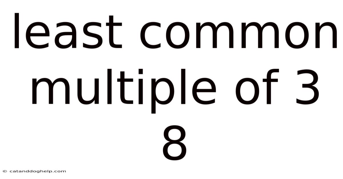 Least Common Multiple Of 3 8