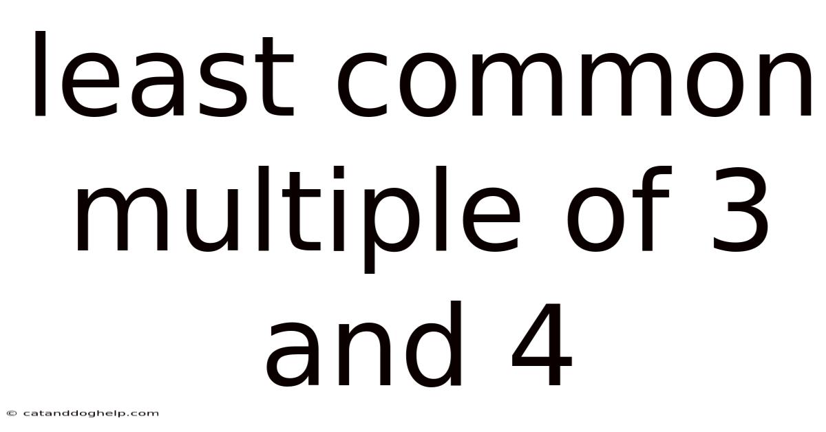Least Common Multiple Of 3 And 4