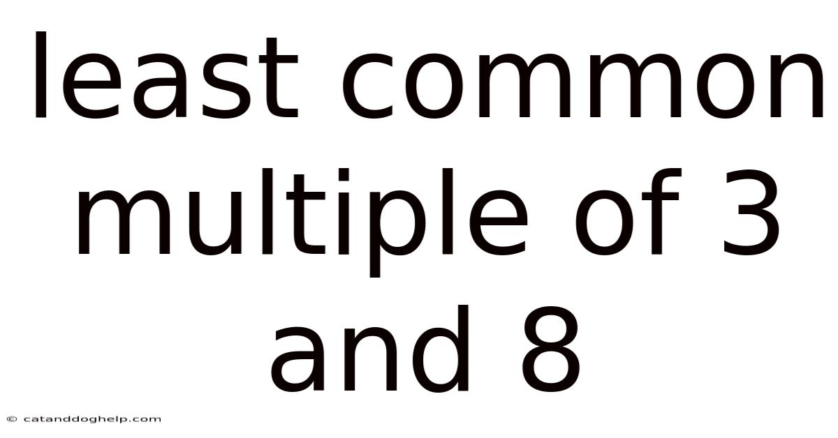 Least Common Multiple Of 3 And 8