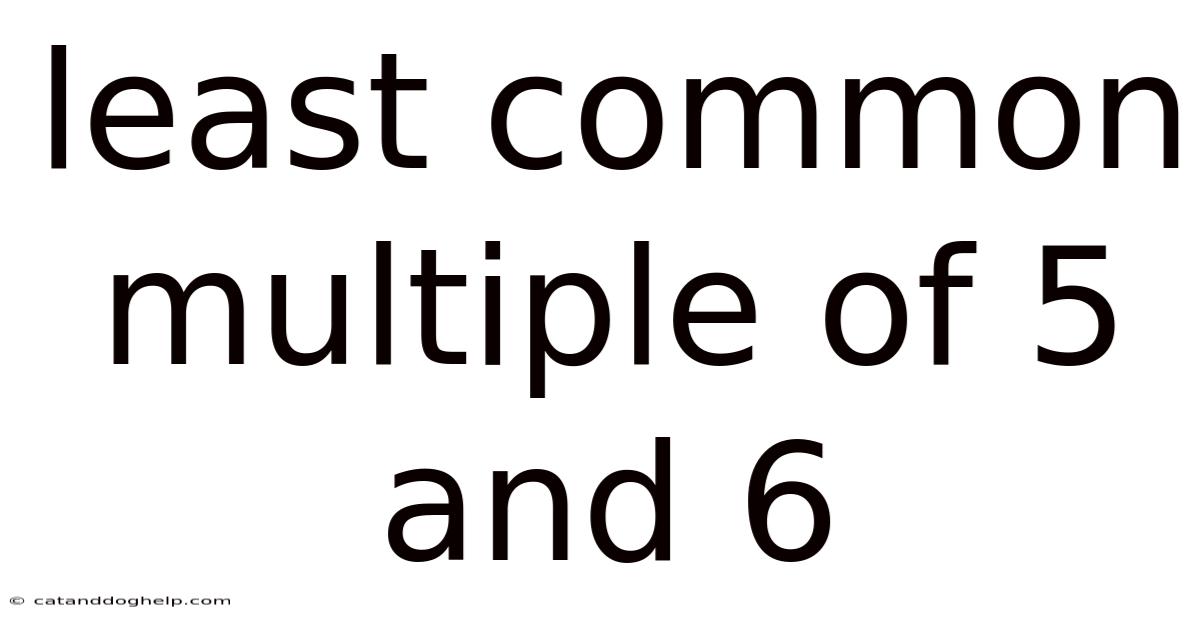 Least Common Multiple Of 5 And 6