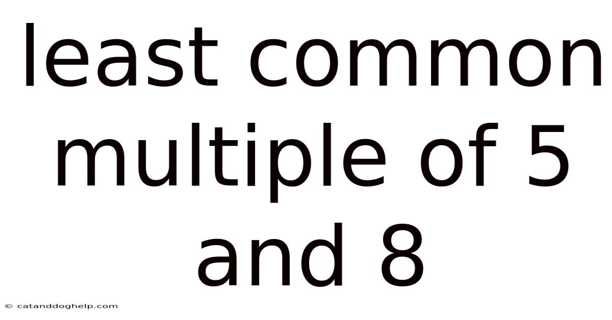 Least Common Multiple Of 5 And 8