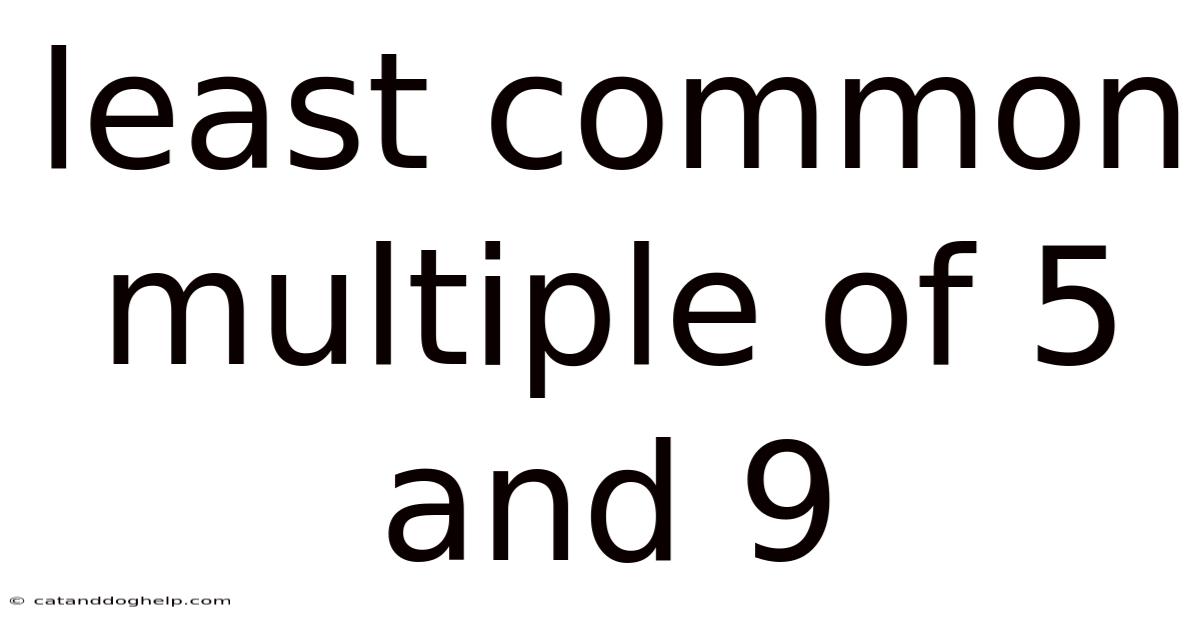 Least Common Multiple Of 5 And 9