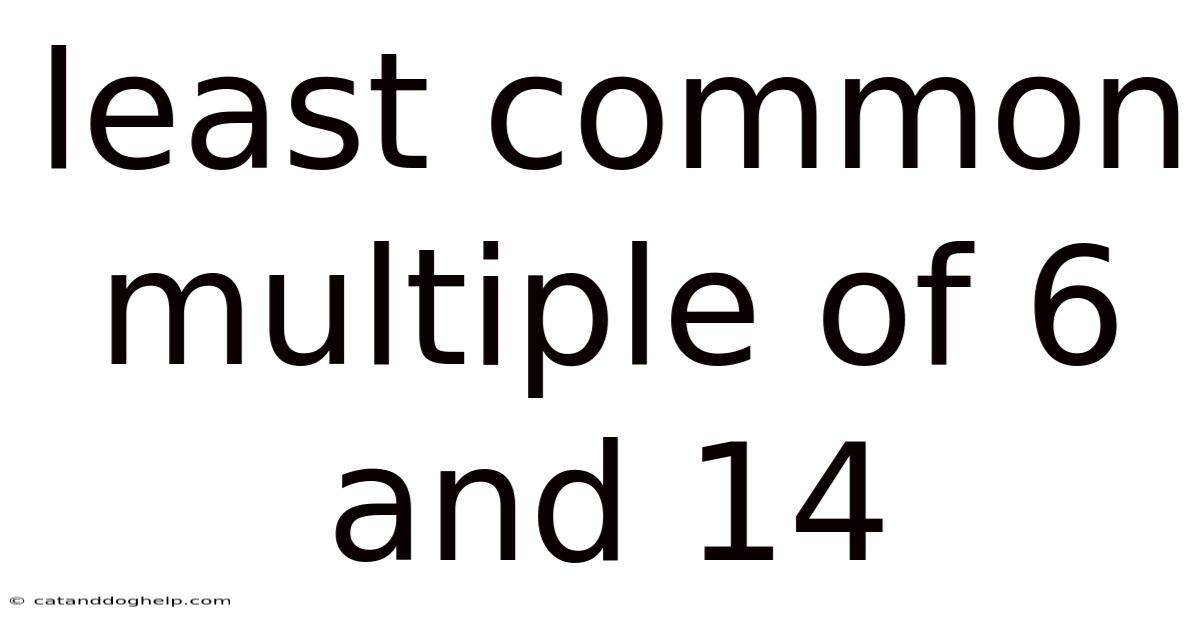 Least Common Multiple Of 6 And 14