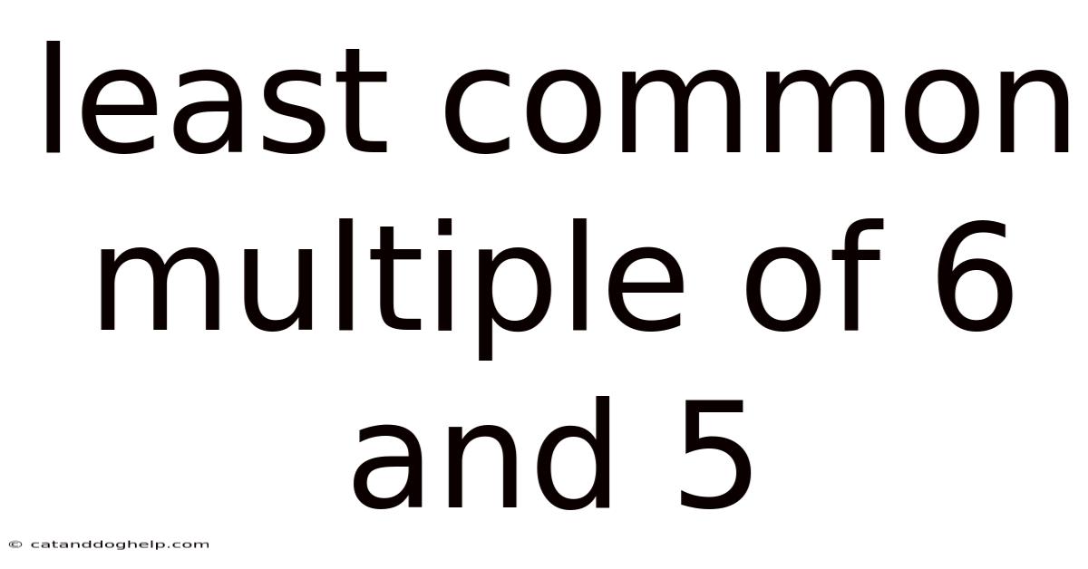 Least Common Multiple Of 6 And 5
