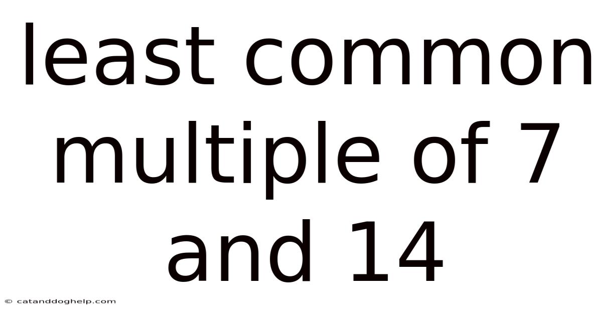 Least Common Multiple Of 7 And 14