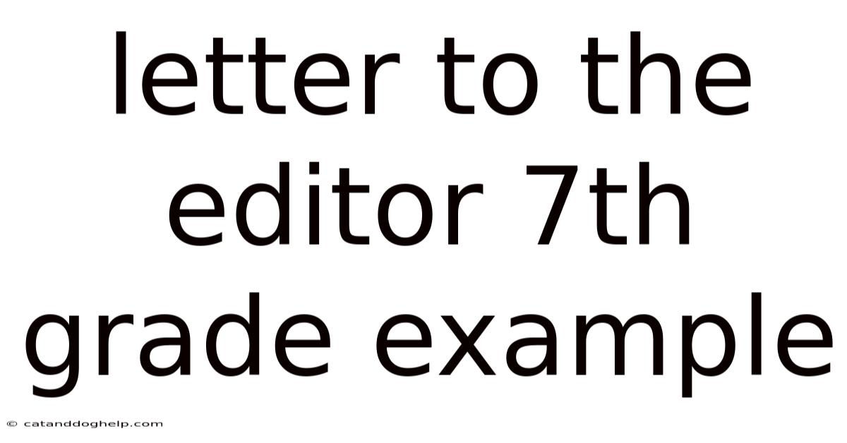 Letter To The Editor 7th Grade Example