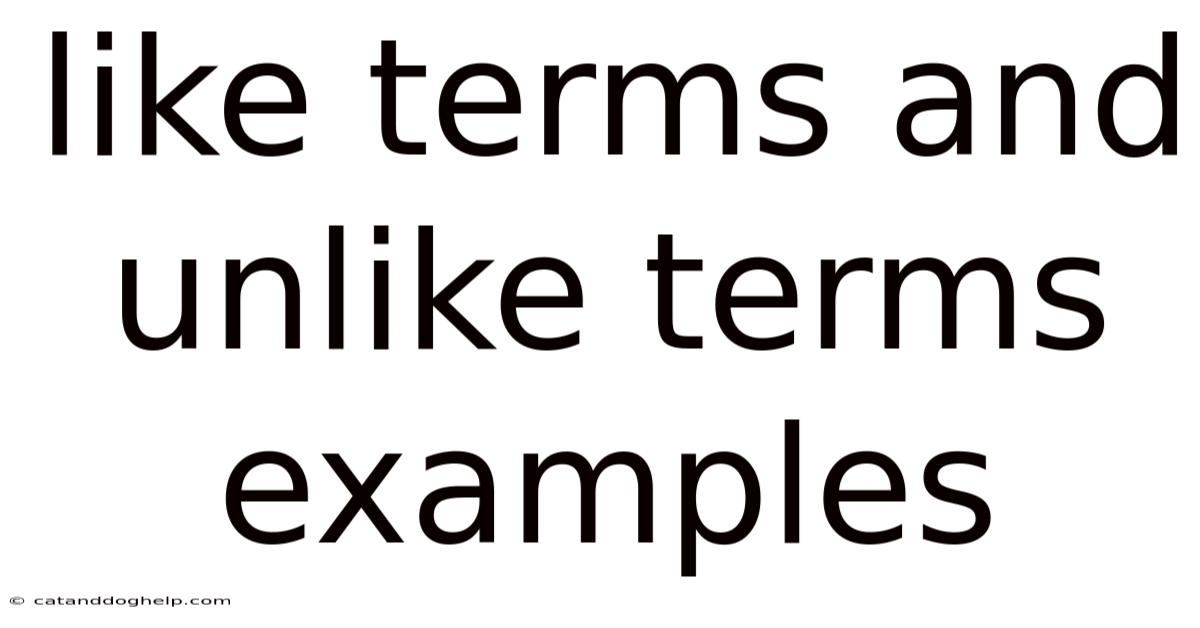 Like Terms And Unlike Terms Examples