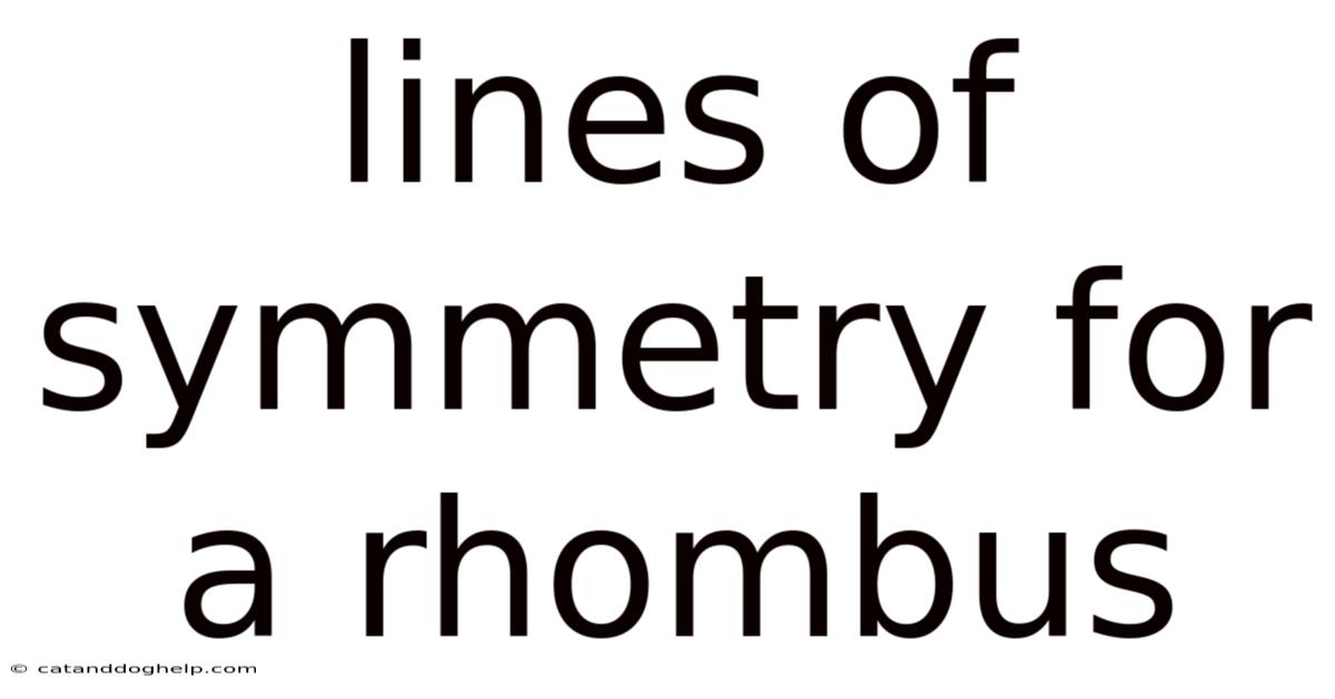 Lines Of Symmetry For A Rhombus