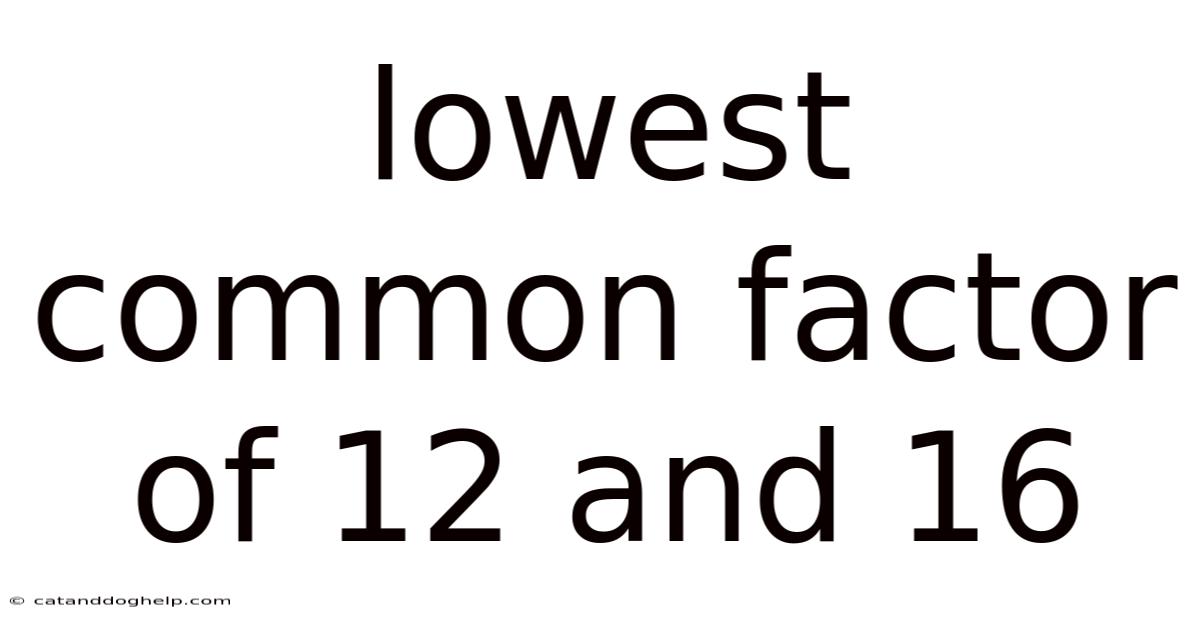 Lowest Common Factor Of 12 And 16