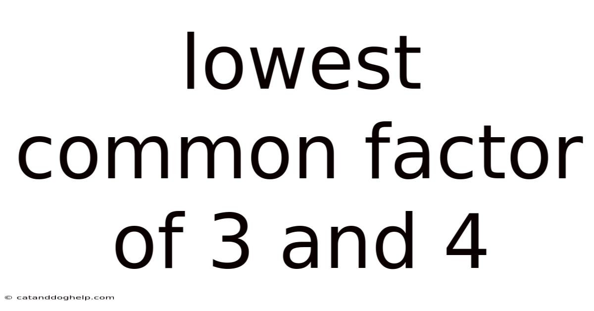 Lowest Common Factor Of 3 And 4