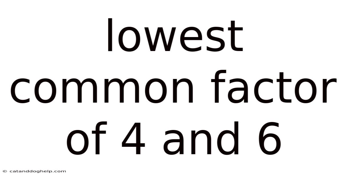 Lowest Common Factor Of 4 And 6