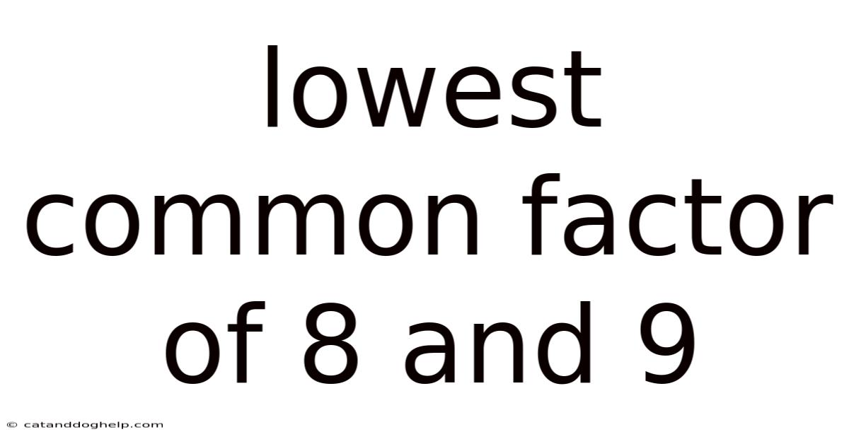 Lowest Common Factor Of 8 And 9