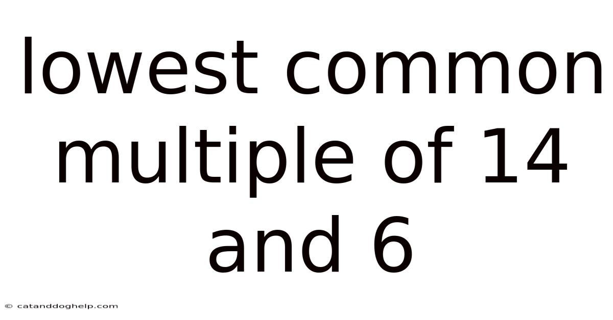 Lowest Common Multiple Of 14 And 6