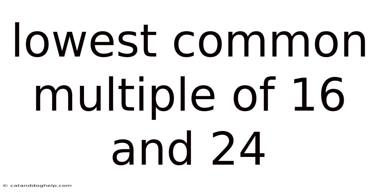 Lowest Common Multiple Of 16 And 24