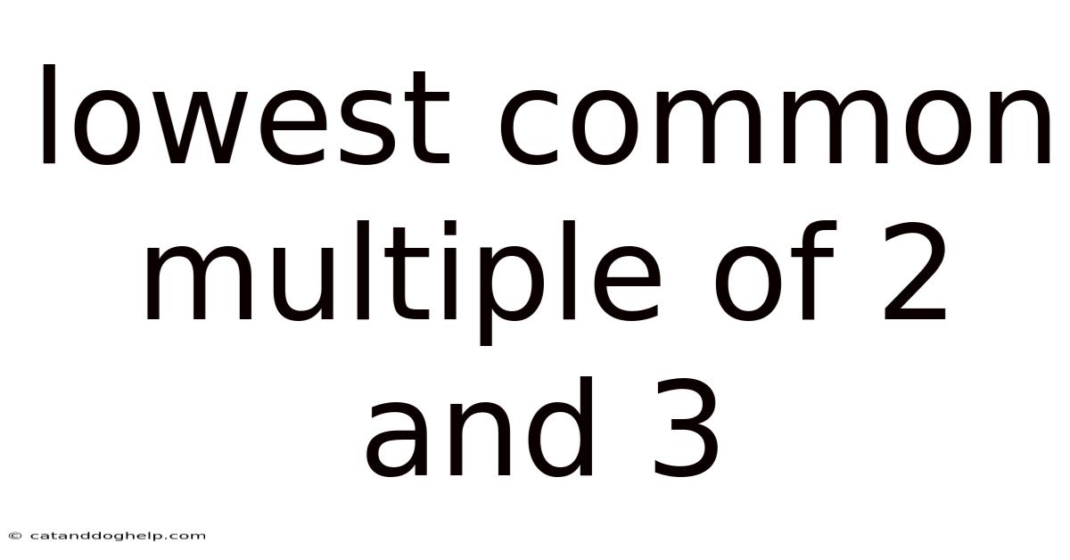 Lowest Common Multiple Of 2 And 3