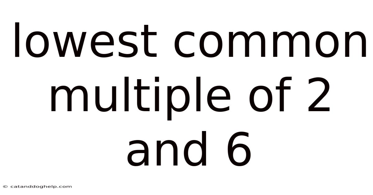Lowest Common Multiple Of 2 And 6