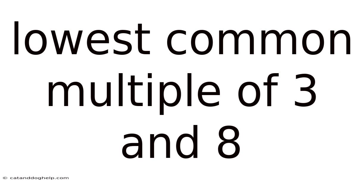 Lowest Common Multiple Of 3 And 8