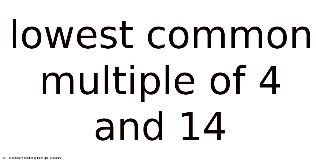 Lowest Common Multiple Of 4 And 14