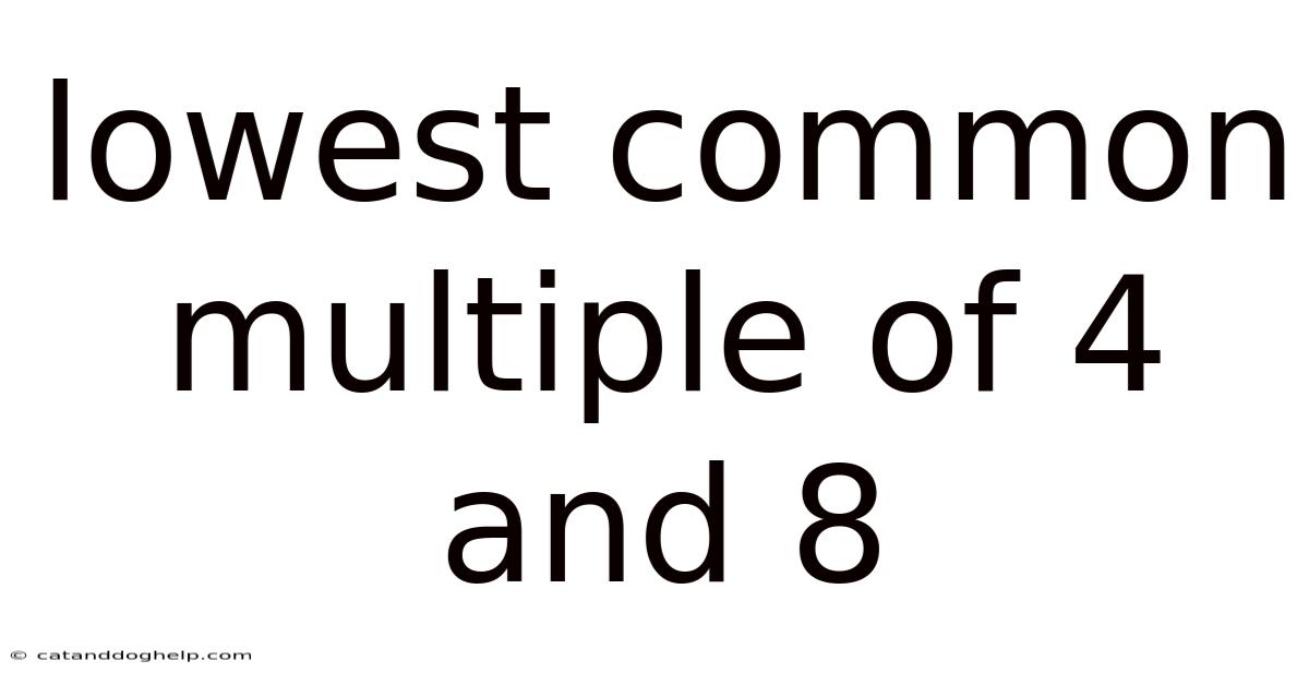 Lowest Common Multiple Of 4 And 8