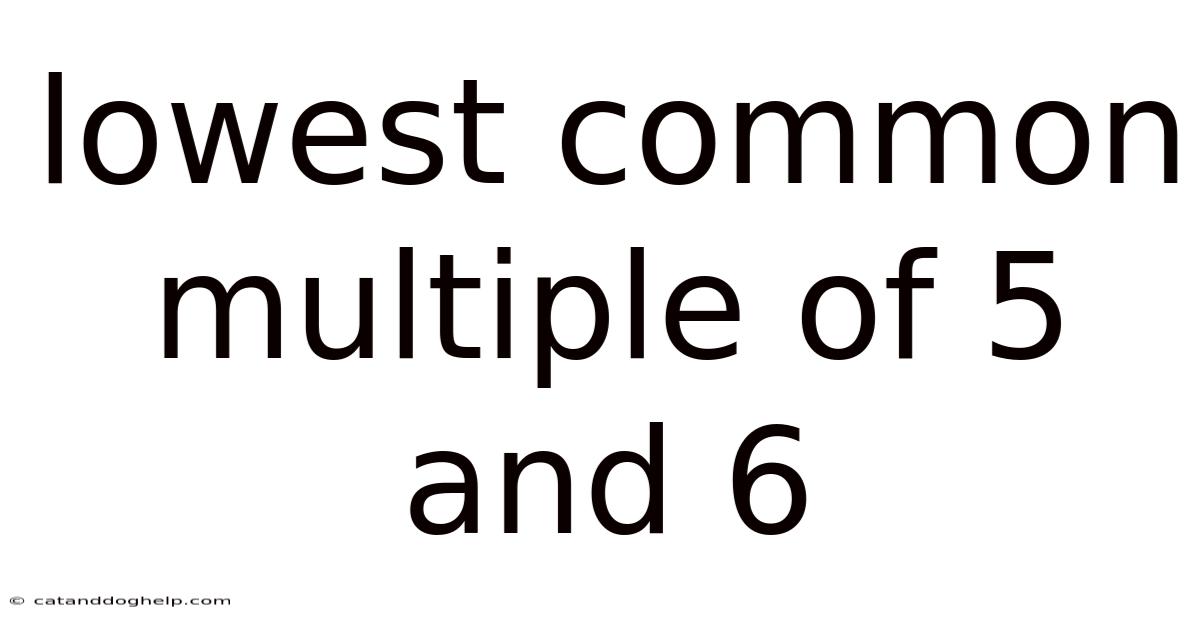 Lowest Common Multiple Of 5 And 6