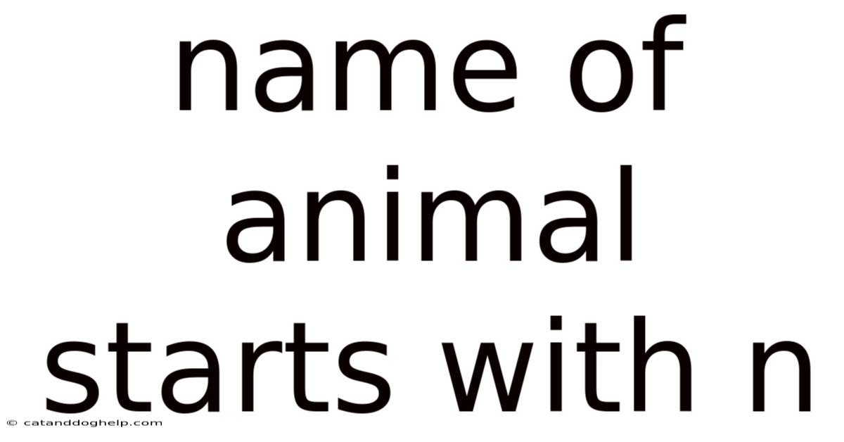 Name Of Animal Starts With N