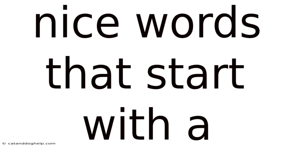 Nice Words That Start With A