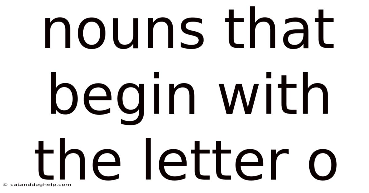 Nouns That Begin With The Letter O