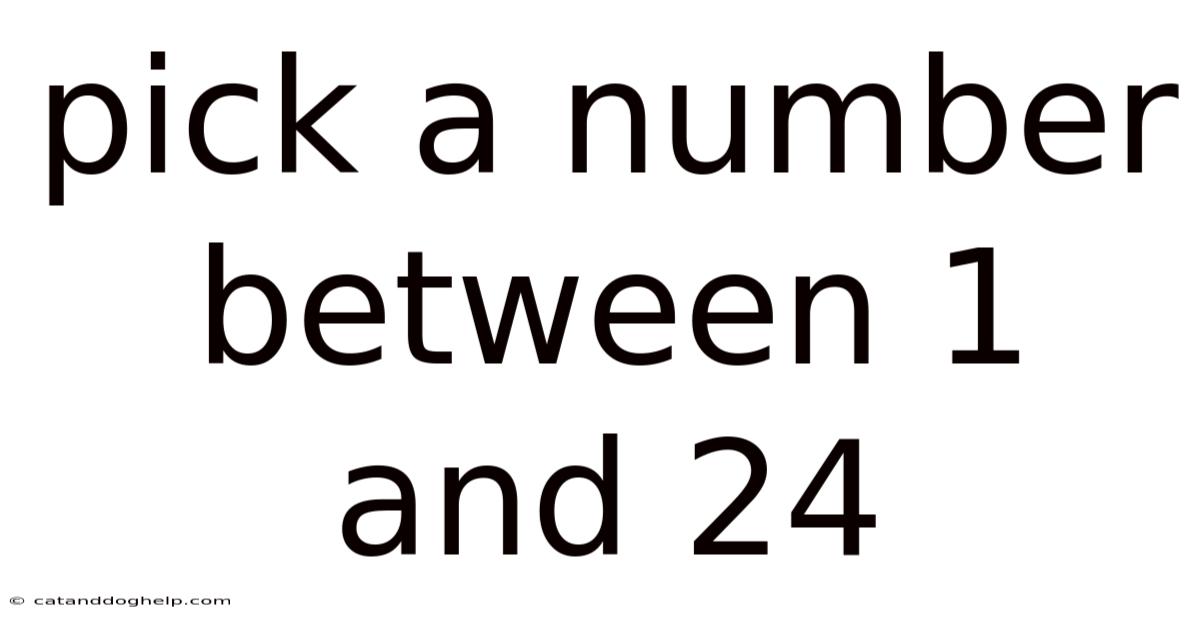 Pick A Number Between 1 And 24