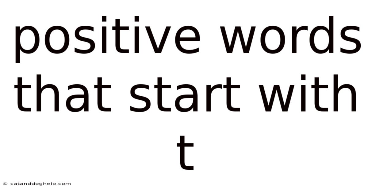 Positive Words That Start With T