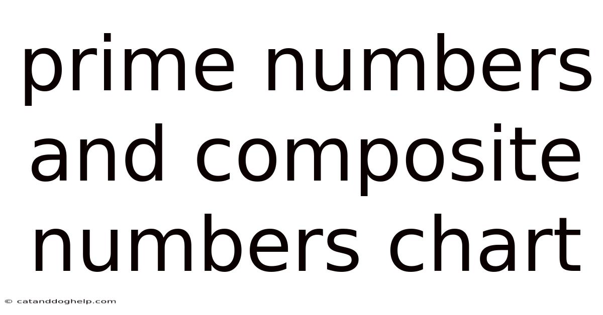 Prime Numbers And Composite Numbers Chart