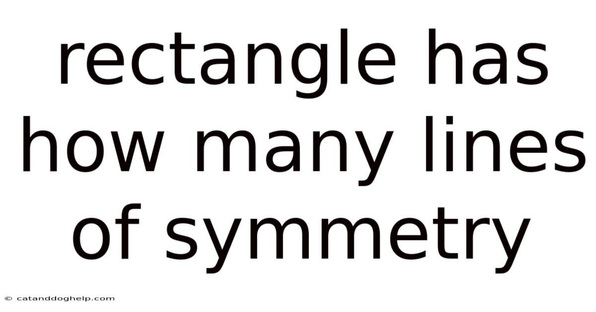 Rectangle Has How Many Lines Of Symmetry