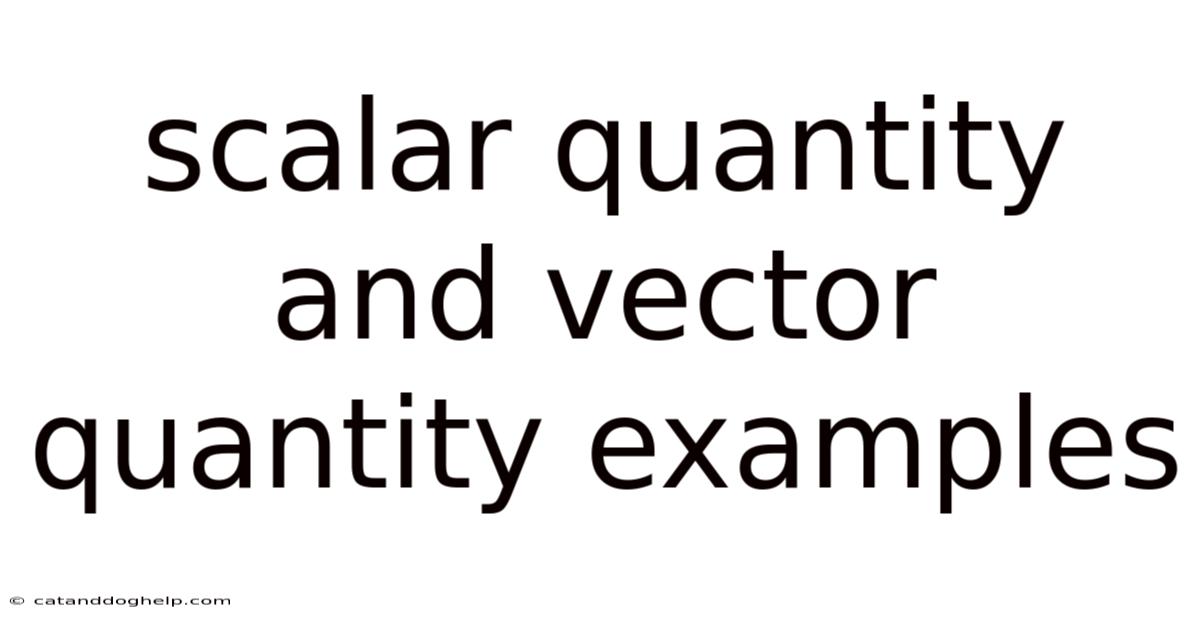 Scalar Quantity And Vector Quantity Examples