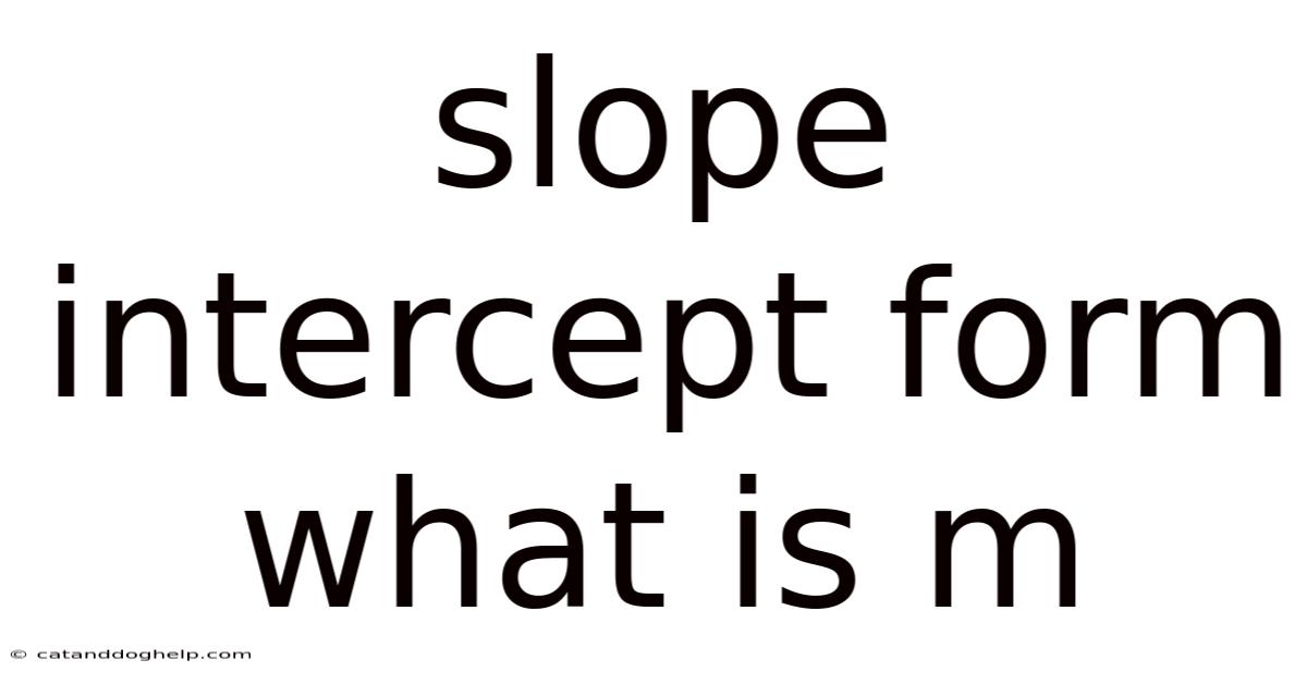 Slope Intercept Form What Is M