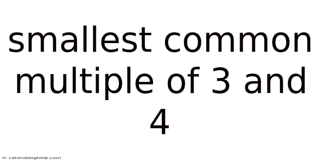 Smallest Common Multiple Of 3 And 4