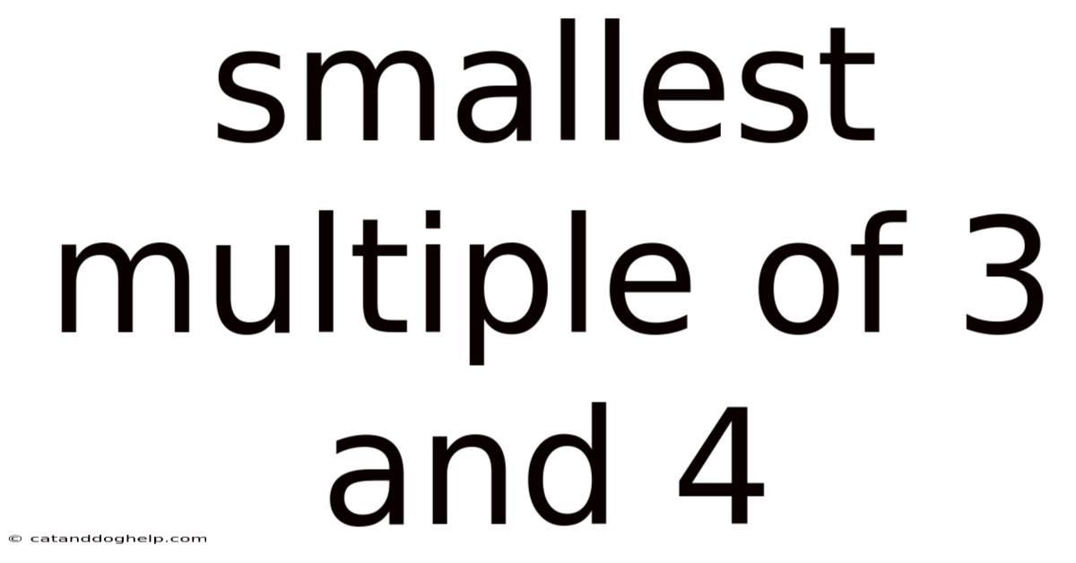 Smallest Multiple Of 3 And 4