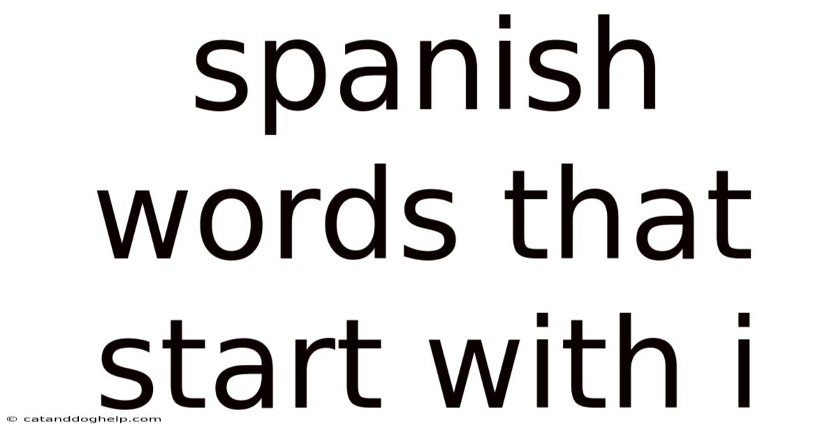 Spanish Words That Start With I