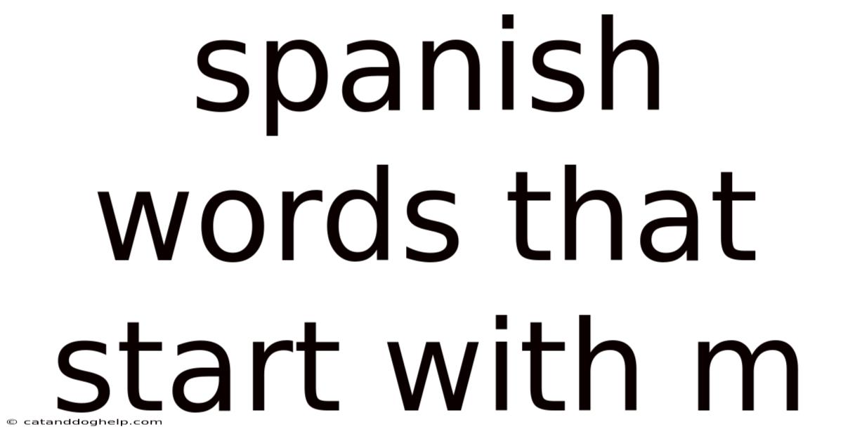Spanish Words That Start With M